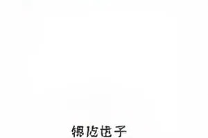 潮汐档案剧照，海堤上翻开的旧档案与涨潮线